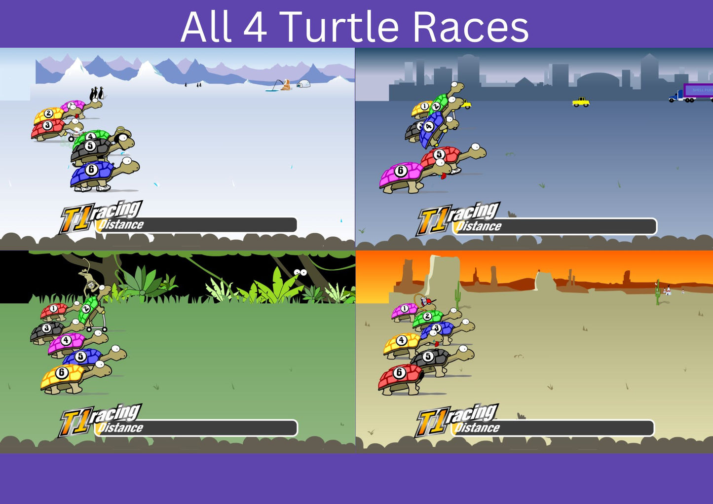 Tortoise Race | Turtle Races | Software | Instant Download