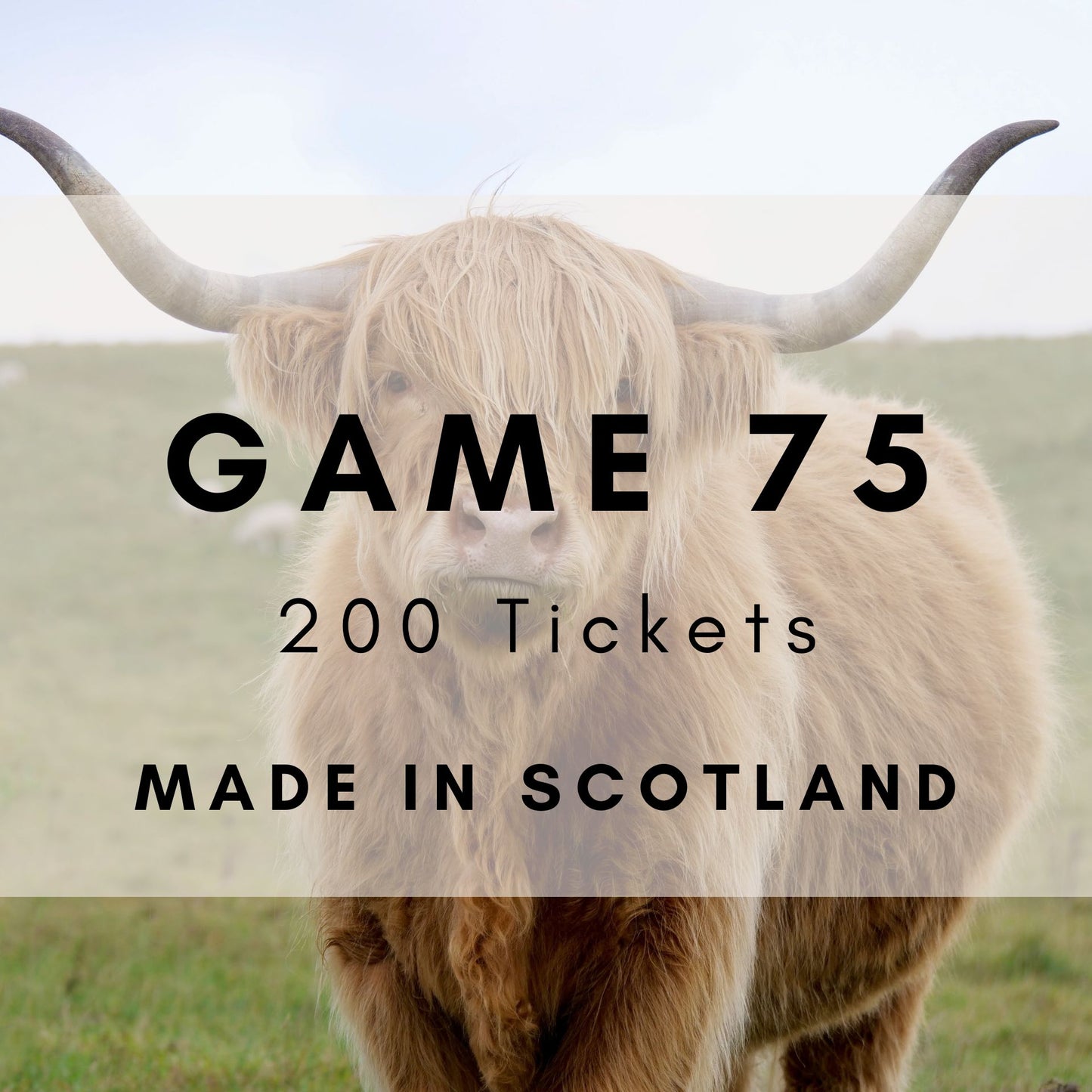 Game 75 | Made In Scotland | Boogie Bingo | Printable Music Bingo Tickets